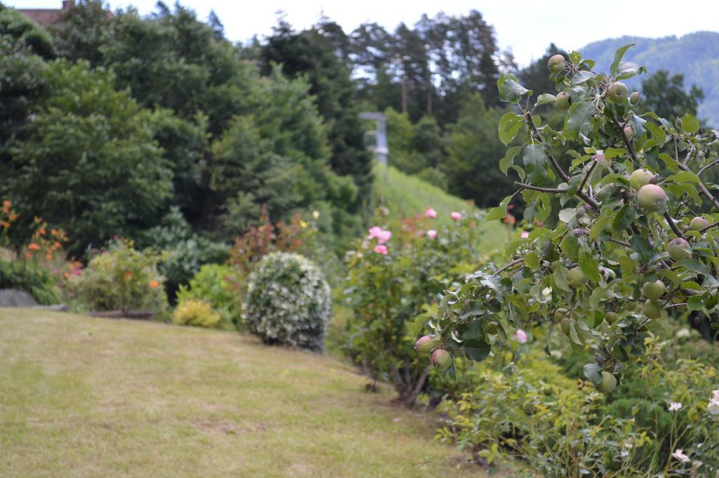 Jaeger Guesthouse Annenheim Esterno foto